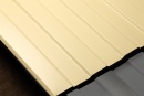 Профнастил С8 1200/1150x0,65 мм, 1014 слоновая кость глянцевый